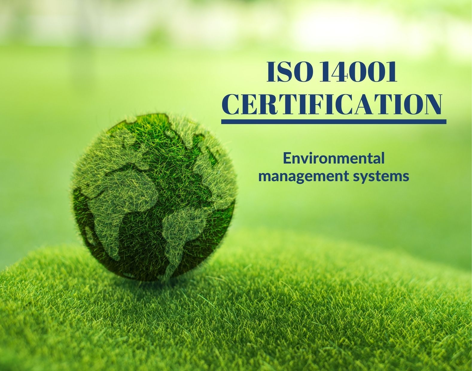 EMS ISO 14001